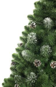gałązki sosny diamentowej 220cm